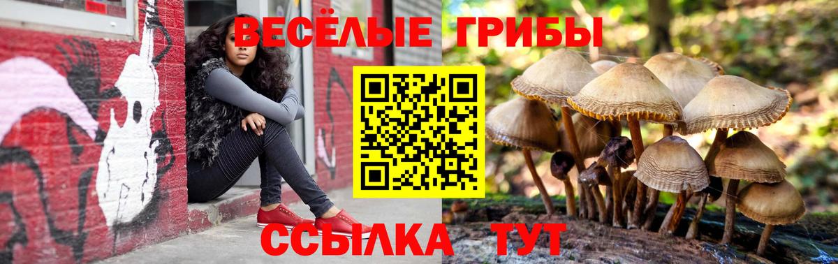 Полысаево  Галлюциногенные грибы Cubensis  Вход с VPN 